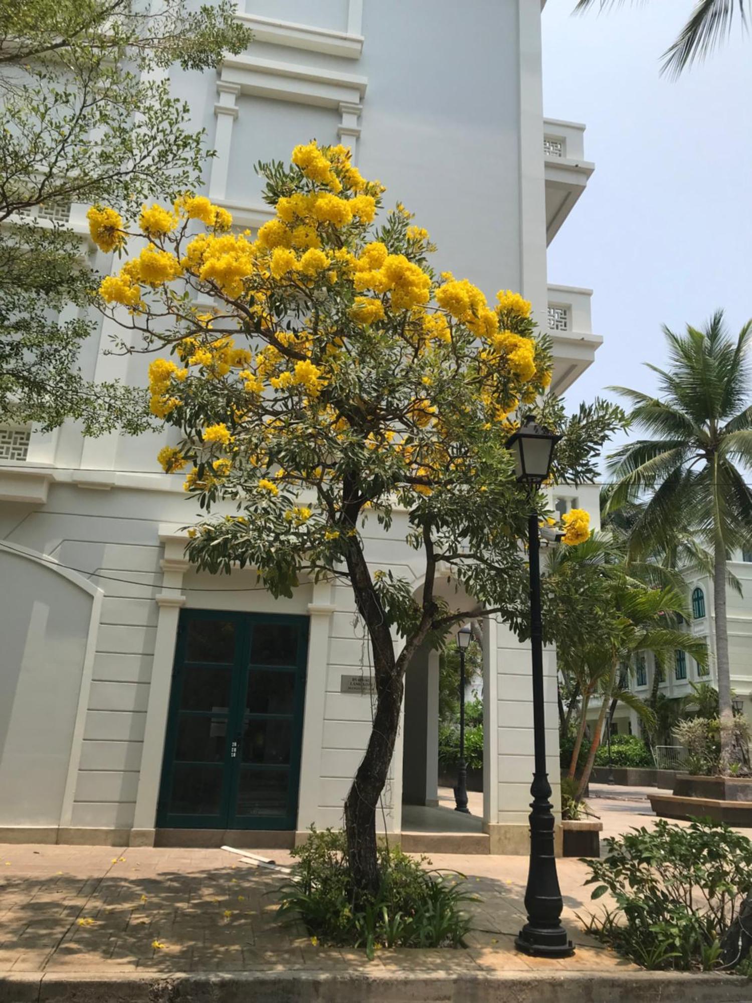 Kalia Hotel Phu Quoc Exterior photo